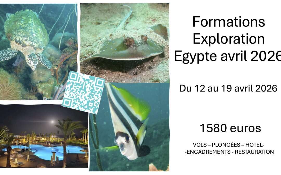 Voyages  à  SAFAGA (Mer Rouge) du 12 au 19 avril 2026