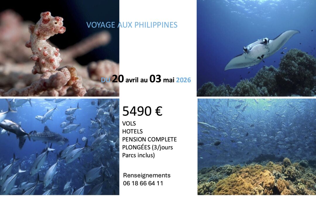 Voyages Philippines 20 avril AU 03 mai 2026