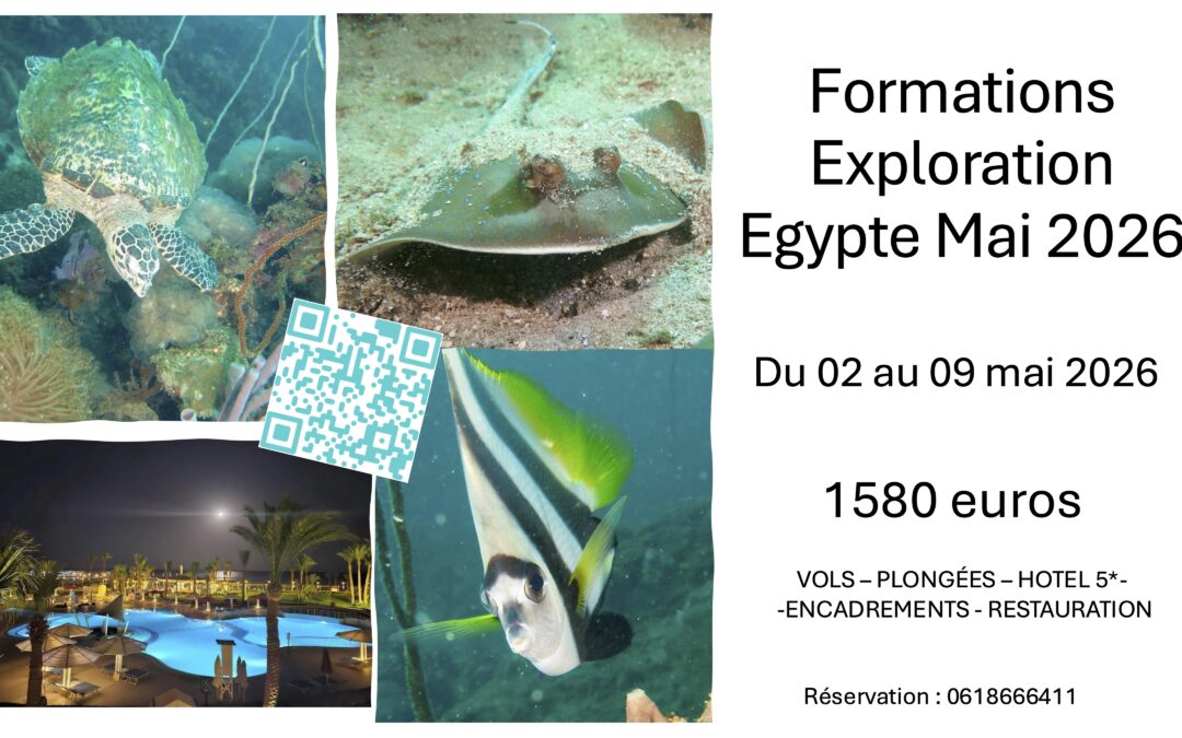 Voyages  à  SAFAGA (Mer Rouge) du 02 au 09 mai 2026