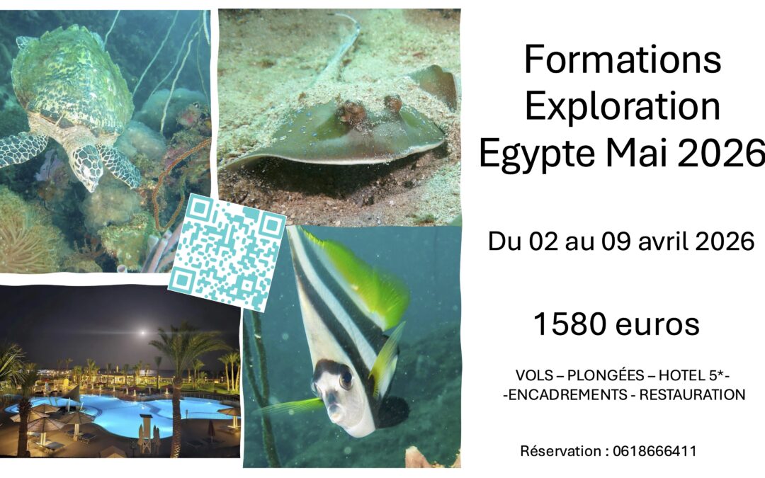 Voyages  à  SAFAGA (Mer Rouge) du 02 au 09 mai 2026