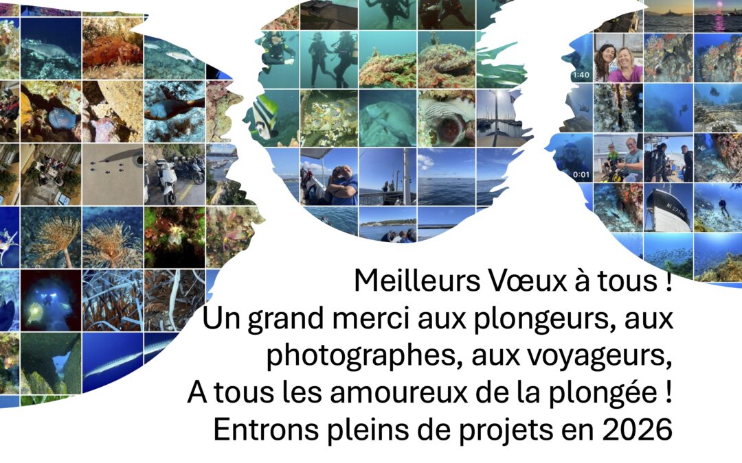 Meilleurs Voeux 2026