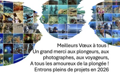 Meilleurs Voeux 2026