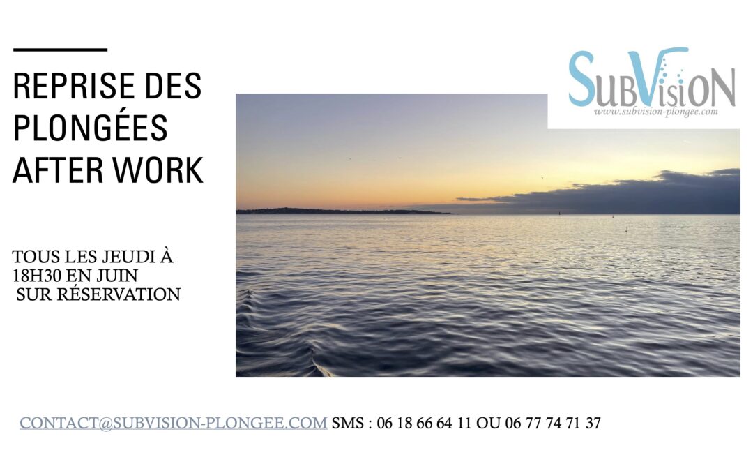Reprise des plongées afterwork le jeudi 18h30