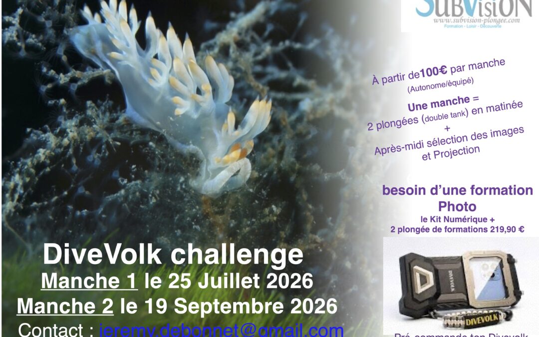 Challenge Photo DiveVolk